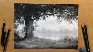 Tree by the River - Landscape in Graphite │No Graphite Shine