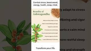 Revitalize Your Life with Ashwagandha: The Ultimate Stress Reliever for Modern Warriors