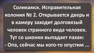 Соликамский Душегуб Зашёл в Камеру к Зекам! Сборник Самых Свежих Анекдотов! Юмор!