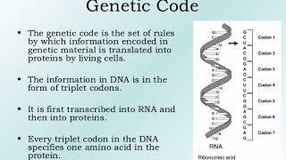 GENETIC CODON,WELL EXPLAINED WITH MNEMONICS FOR NEET UG 2023