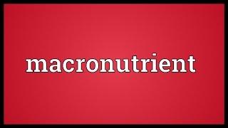 Macronutrient Meaning