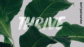 Thrive - Part I