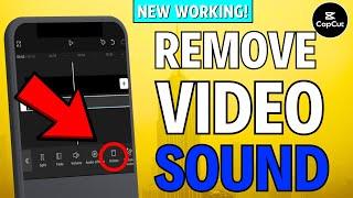 How to Remove Sound From a Video in CapCut (2024)