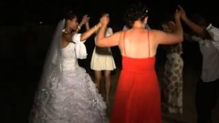 NICU COSTACHE LIVE NUNTA