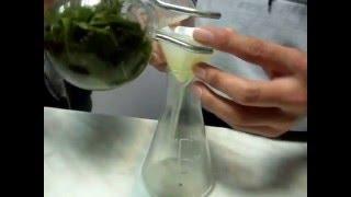9b chemistry project  - Artemisia cina Kokshetau KTL