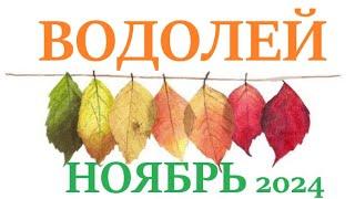 ВОДОЛЕЙ    НОЯБРЬ 2024  Прогноз на месяц таро расклад Все знаки зодиака! 12 домов гороскопа!