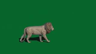 lions running green screen