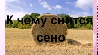 К чему снится сено Сонник от Ирины