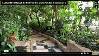 A Virtual Stroll Through the North Garden: Como Park Zoo & Conservatory