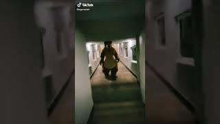 Bear chasing a Innocent person down the hall…