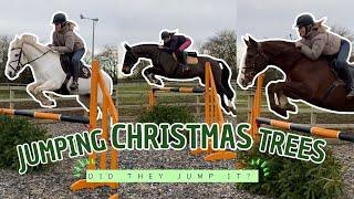 JUMPING 4 HORSES OVER CHRISTMAS TREES | Did They Go Straight Over It