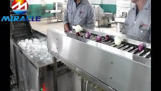 Automatic Onion Processing Line for Export