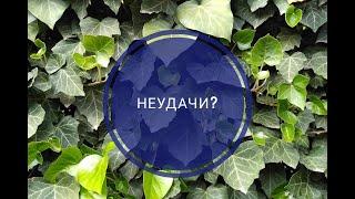 ЧТО ДЕЛАТЬ С НЕУДАЧЕЙ? //