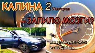 Калина 2 Универсал. Что делать, если залило мозги. Замена ЭБУ с динамичной прошивкой под ЕURO2