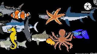 sea animals collecion kids picture show
