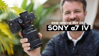 SONY a7 IV in der PRAXIS auf Teneriffa