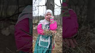 Your Local Qurbani with National Zakat Foundation Canada