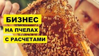 Бизнес на пчелах с расчетами | Пчеловодство | Пчелиный бизнес