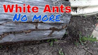 DIY white ant  bait station