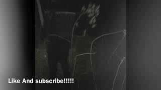 Walking Haunted Trailat Night//The Return Of Gucci Greg