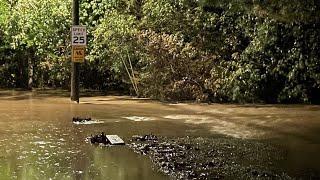 3 people dead, over 24 rescued in Georgia due to Tropical Storm Helene