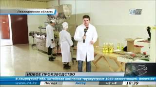 Новые производства в Павлодарской области