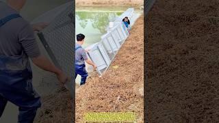 Building a Floating Farm: How Fish Farmers Assemble Cage Rafts.