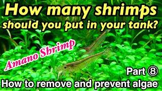 How to remove and prevent algae in your planted aquarium Part⑧Optimal number of shrimp