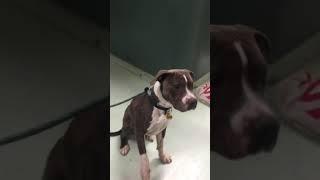 Wagner - ️high-five