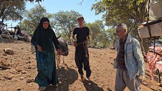 Jamshid and his mother go to the mountains to start their migration