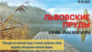 Львовские пруды. Платная рыбалка в Подмосковье. Отдых и обзор водоема.