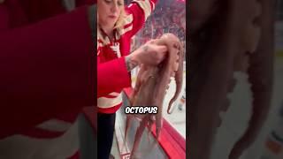 Should This Be Banned?(@kameron.mio)