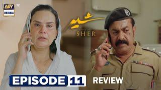 Badar Zaman Or Us Ke Beton Ko Arrest Kr Lein | Sher Episode 11 & 12 Review | Danish Taimoor | Sarah