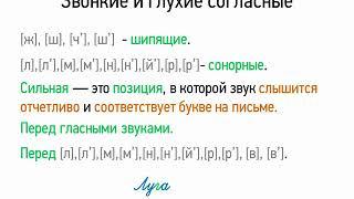 Звонкие и глухие согласные (5 класс, видеоурок-презентация)