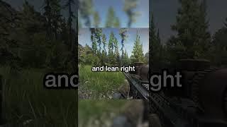 settings #Tarkov
