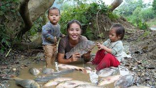 Together with my children, we harvested giant stream fish and brought them to the market to sell