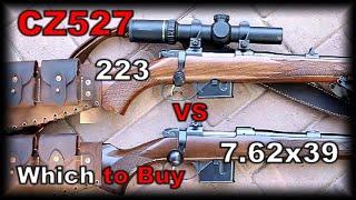 CZ527 762x39 or 223 556 Which to buy