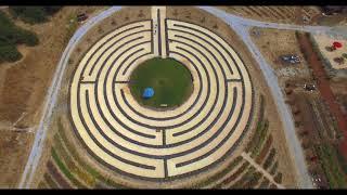 Lavender Labyrinth at Bees N Blooms in Santa Rosa