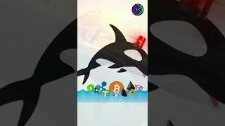 Whales—large holders of crypto—can manipulate markets #shorts