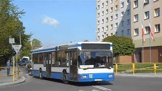 MAN NL202 #30 [Pawelec] i MAZ 203 #758 [IREX] 05.05.14 linie AUCHAN, 663