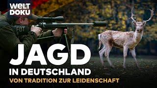 MODERNE JAGD IN DEUTSCHLAND: Wildregulierung vs. Tierschutz - Wildschweine & Rehe | WELT HD DOKU