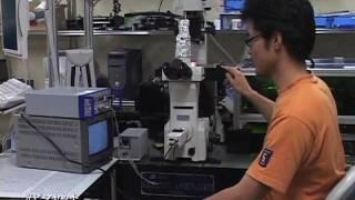 NAIST Informaton Science 講座紹介 2008 (21/27) 生命機能計測学講座
