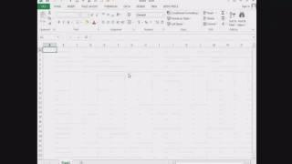 How to use excel for enter enrollment of students.