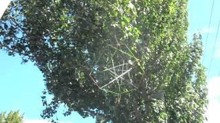 Tensegrity tetrahedron blowing in the wind