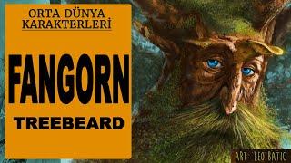 FANGORN - AĞAÇSAKAL (Orta Dünya - Yüzüklerin Efendisi)