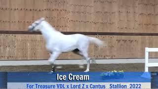 Ice Cream (jumping)