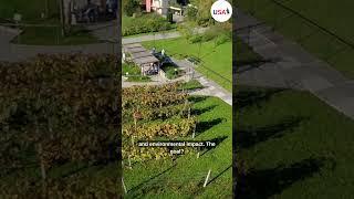 Landscape Architecture