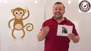 FAMILY AND FRIENDS 1 | UNIT 11: I LIKE MONKEYS | LEARNING ENGLISH FOR KIDS | E3 ENGLISH