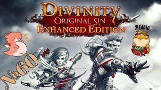 Прохождение Divinity Original Sin Enhanced Edition Серия 60 "Призрачный лес"