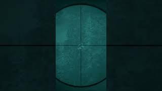 Pre-update Yukon Wolf Hunt #thehuntercotw #thehunter #hunting #cotw #cotwgameplay #gaming #shorts